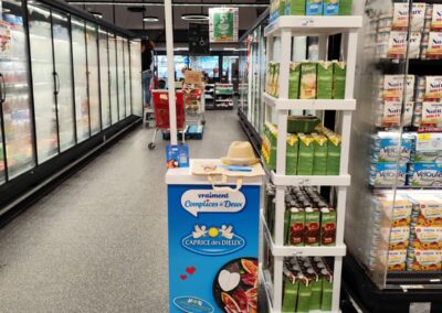 RM ST ANDRE CAPRICE DES DIEUX 19 02 25 (2)